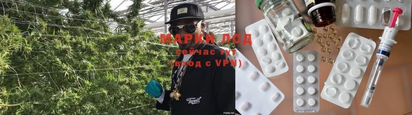 спайс Верея